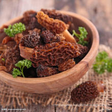 dried morel mushroom